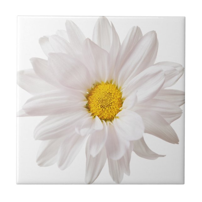 White Daisy Blume Daisis Blume Blumenvorlage Fliese (Vorderseite)