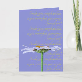 White Daisy Blume Lavender Blue Yellow wird gut Karte