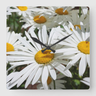 White Daisy Blume Mauer Uhren einzigartig