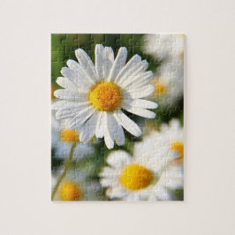White Daisy Floral