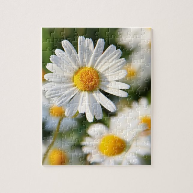 White Daisy Floral (Vertikal)