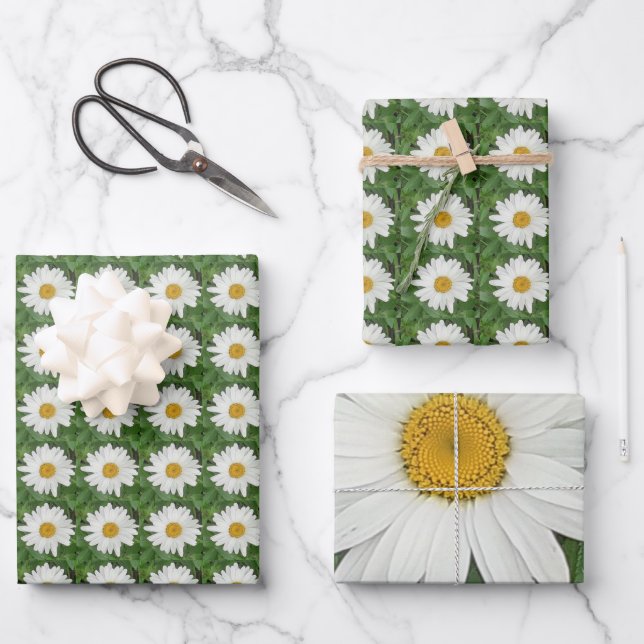 White Daisy Geschenkpapier Set (Vorderseite)