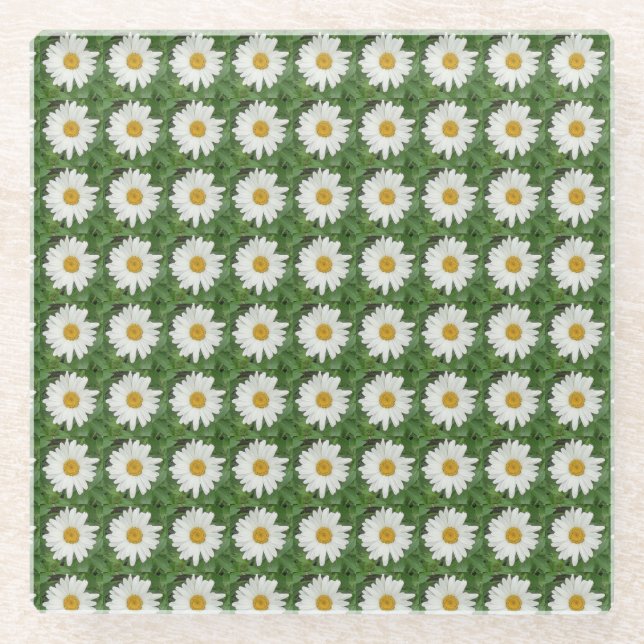 White Daisy Glass Untersetzer (Vorderseite)