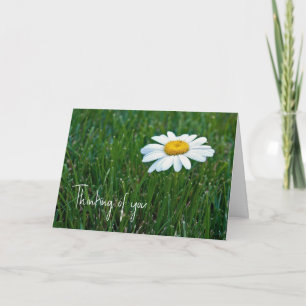 White Daisy in Gras Denken Sie an Sie Karte