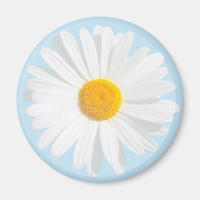 white daisy magnet (Vorne)