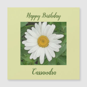 White Daisy Magnetic Birthday Card Magnetkarte