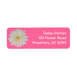 White Daisy Mum