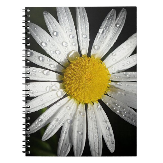 White Daisy Notizblock (Vorderseite)