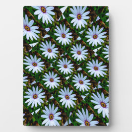 White Daisy Pattern Fotoplatte