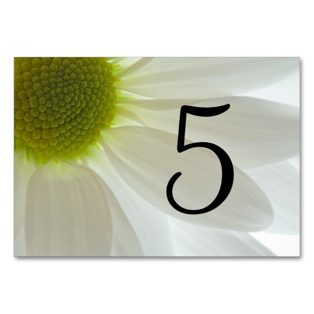 White Daisy Petals Tischnummern (Vorderseite)