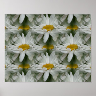 White Daisy Raindrops Blume Abstrakt Poster
