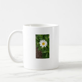 White Daisy Tasse