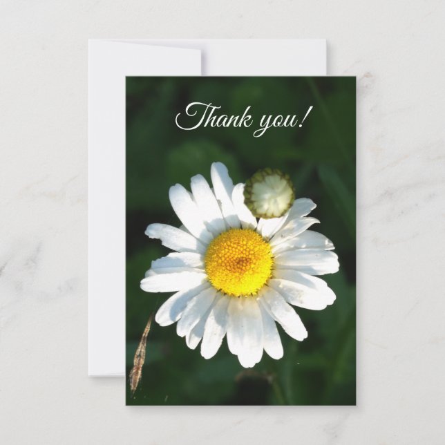 White Daisy Text Danky Card Dankeskarte (Vorderseite)