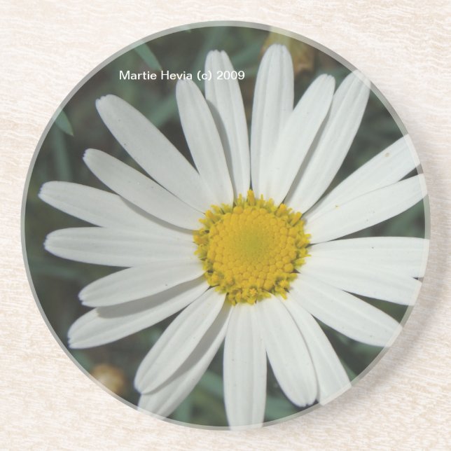 White Daisy - Untersetzer (Vorne)