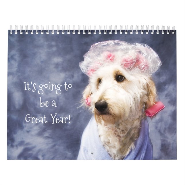 White Dog Funny Calendar Golden Doodle Kalender (Titelbild)