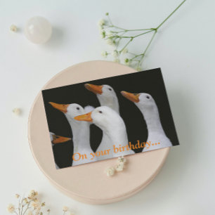 White Ducks Funny carte d'anniversaire