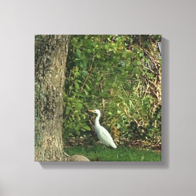 White Egret Leinwanddruck (Vorderseite)