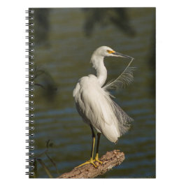White Egret Spiral Photo Notebook Notizblock