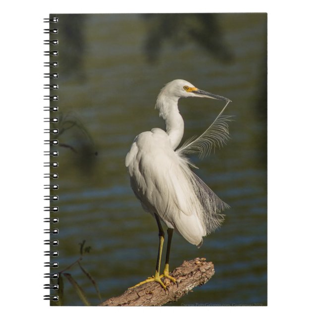 White Egret Spiral Photo Notebook Notizblock (Vorderseite)
