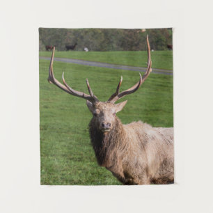 White Elk Tapestry Wandteppich