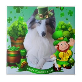 White factor Merle Headed Rough Collie  Fliese