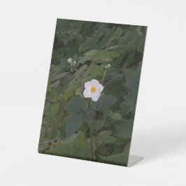 White Flower Photo Sockelschild
