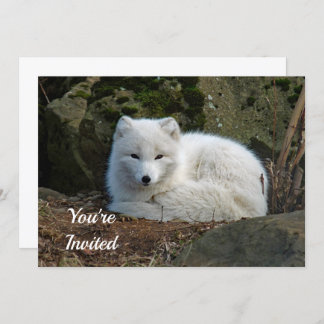 White Fox Foto Geburtstag Einladung