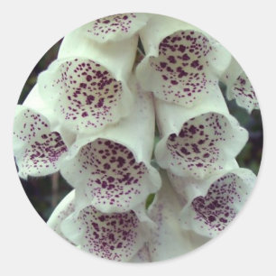 White Foxglove Runder Aufkleber