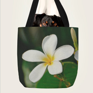 White Frangipani Canvas Print Laptop Sleeve Servin Tasche