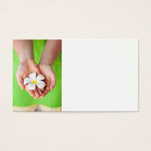 White Frangipani flowers