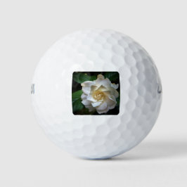 White Gardenia Golfball