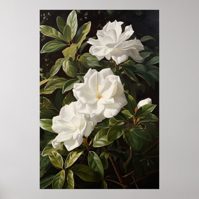 White Gardenias Blume Art Print Poster (Vorne)