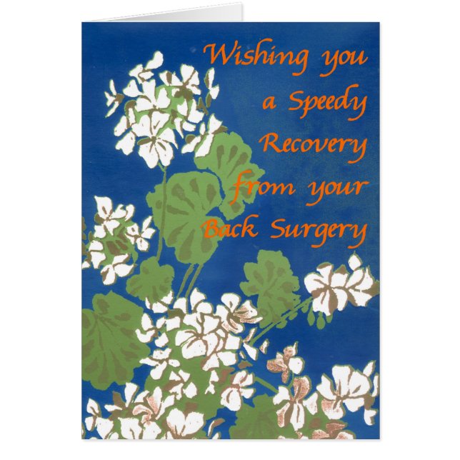 White Geraniums on Blue Get Well Back Operation (Vorne)