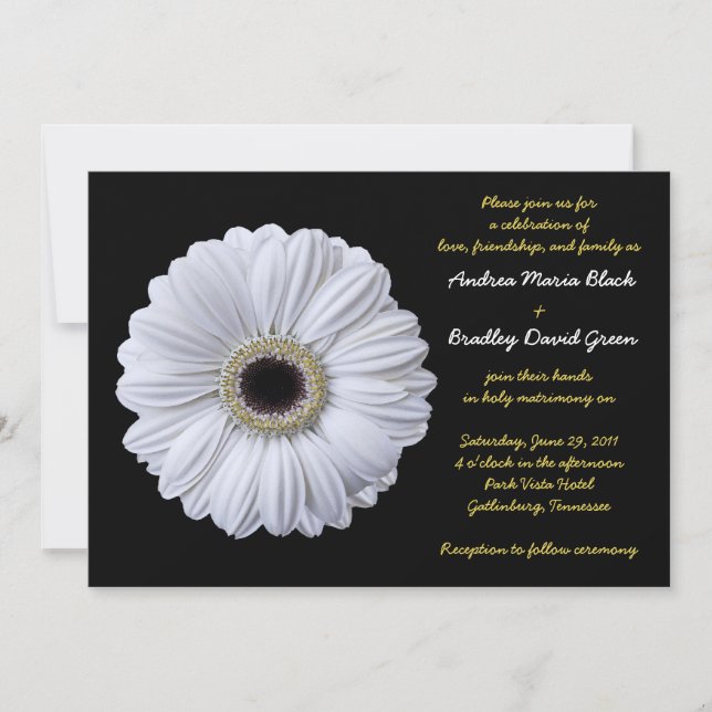 White Gerbera Daisy Black Wedding Einladung (Vorderseite)