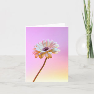 White Gerbera Daisy Grußkarte Karte