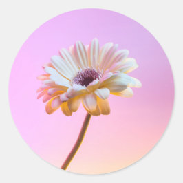 White Gerbera Daisy Sticker