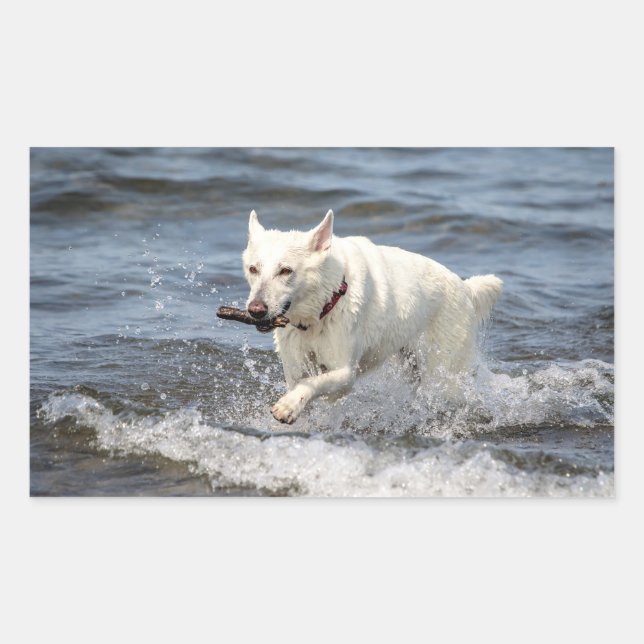 White German Shepard am George Lake Rechteckiger Aufkleber (Vorderseite)