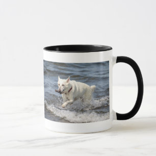White German Shepard am George Lake Tasse