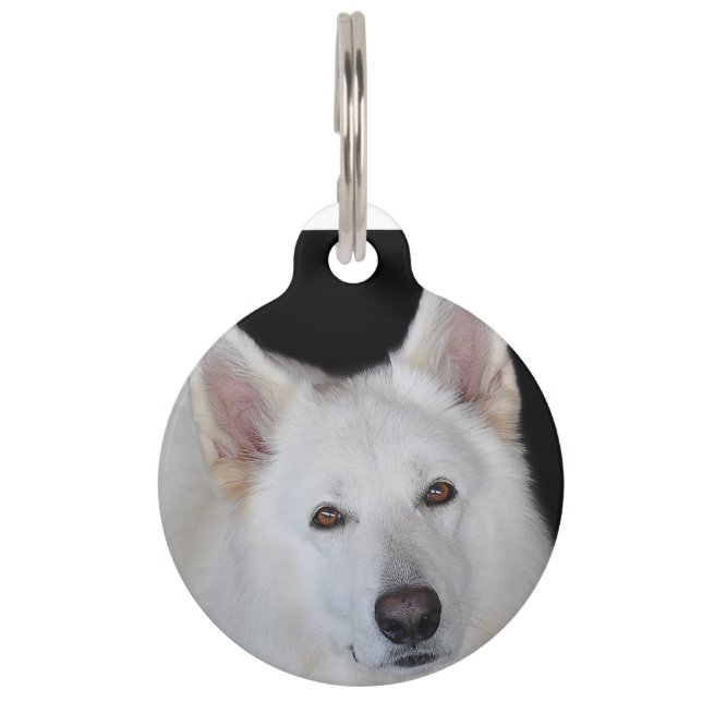 White German Shepherd Haustiermarke (Vorderseite)