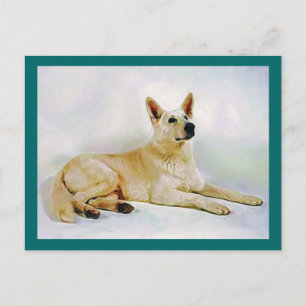 White German Shepherd Postkarte
