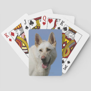 White German Shepherd Spielkarten