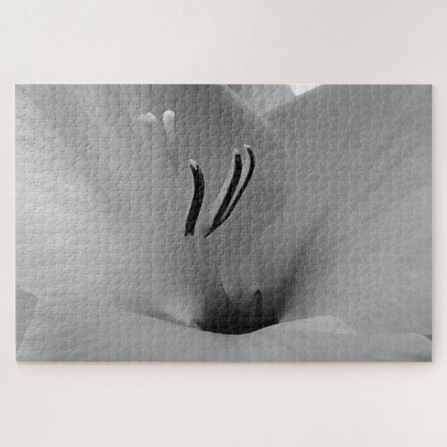 White Gladioli (Horizontal)