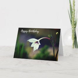 White Gladiolus Garden Blume Happy Birthday Karte