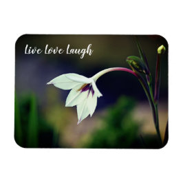 White Gladiolus Garden Blume Motivierend Magnet