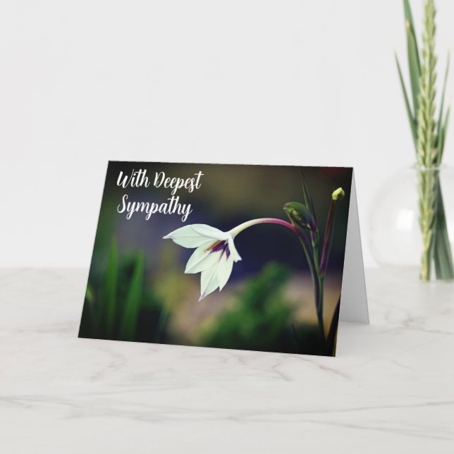 White Gladiolus Garden Blume W/ Deepest Beileid Karte (Vorderseite)
