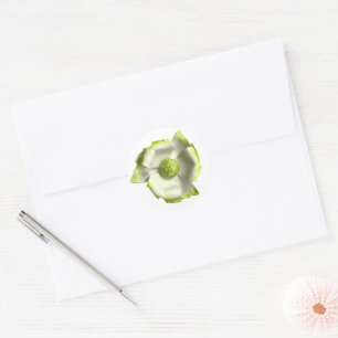 White Green Blossom Blume Summer Garden Wedding Runder Aufkleber