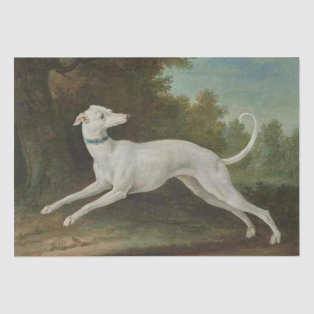 White Greyhound Dog (von Jean-Baptiste Oudry) Seidenpapier (Vorderseite)