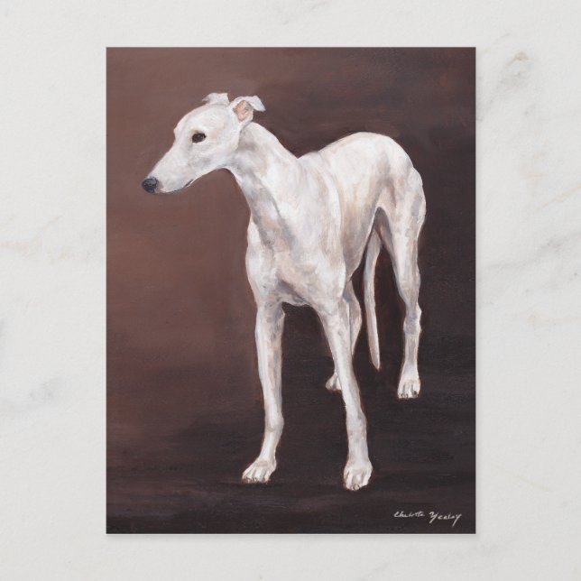 White Greyhound Hund Art Postcard Postkarte (Vorderseite)