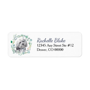 White Havanese Hundeschlittensiegel
