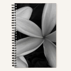 White Hawaiian Blume Foto Spiral Notebook Notizbuch